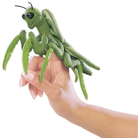 2610 - Mini Praying Mantis  