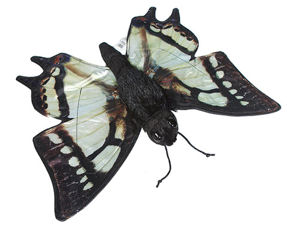 NP8241 - 14 Swallowtail Butterfly Puppet