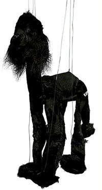 Lrg black poodle